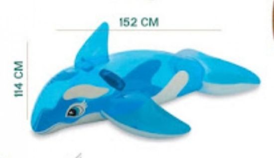 صورة دلفين اطفال مقاس  1.52x1.14 cm